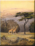 African savanna